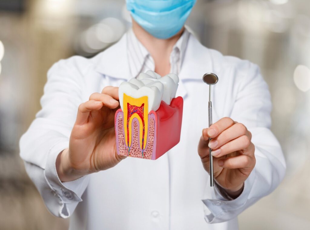 Root canal treatment at Afyon Ballıpınar Dental Clinic – thorough cleaning and healthy reconstruction of the tooth root.